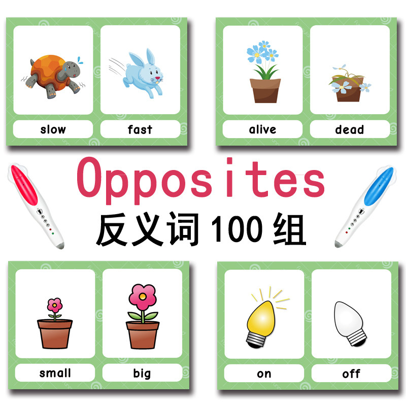 The 100 Groups Opposites Flash - Educational Flash Card review and price