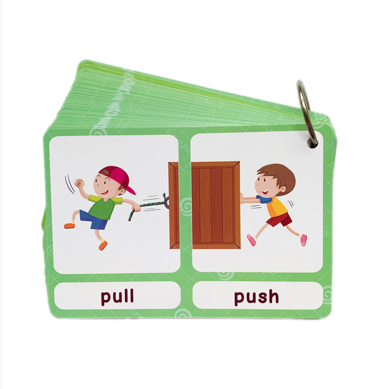 The 100 Groups Opposites Flash - Educational Flash Card review and price