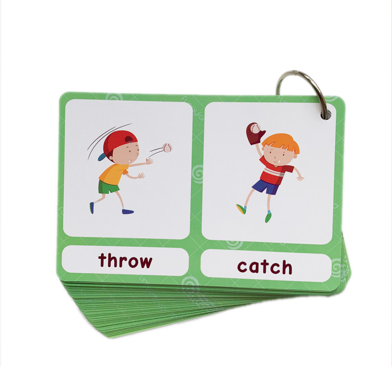 The 100 Groups Opposites Flash - Educational Flash Card review and price