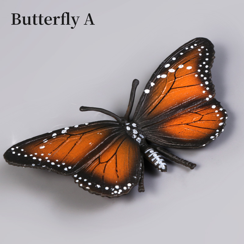 Butterfly Insect Model Animal  - Kids Toys Packaging review and price