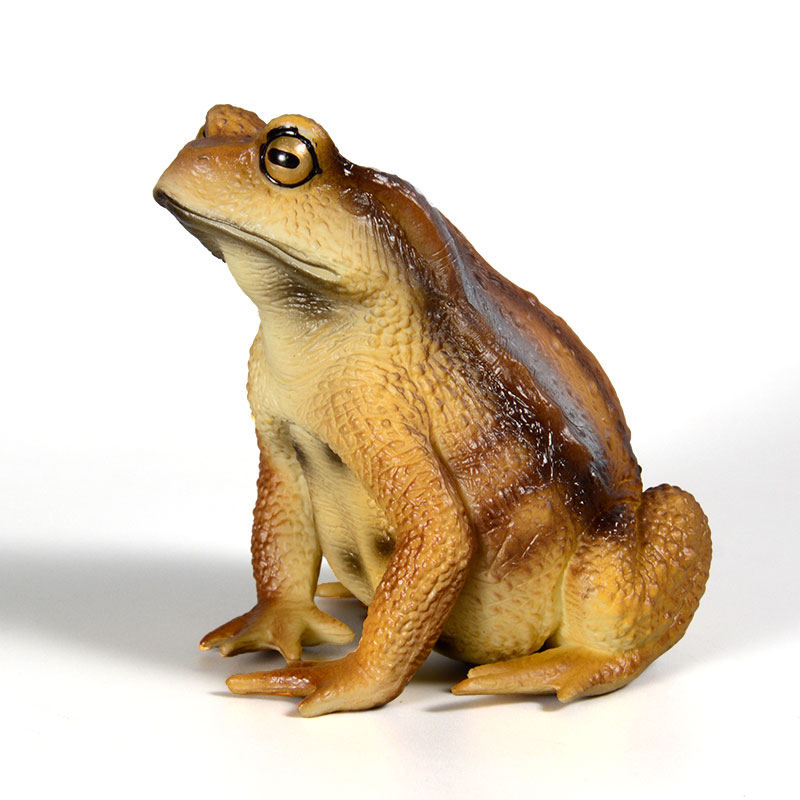 Amphibian Frog Figure Insect M - Kids Toys Packaging review and price