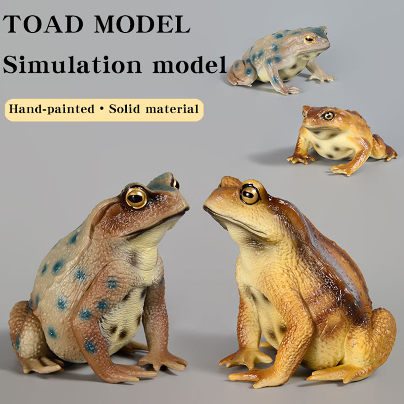 Amphibian Frog Figure Insect M - Kids Toys Packaging review and price