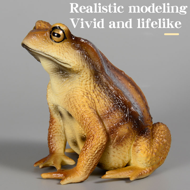 Amphibian Frog Figure Insect M - Kids Toys Packaging review and price