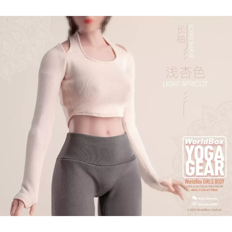 Worldbox 1/6 Scale Female High - Kids Yoga Toys review and price