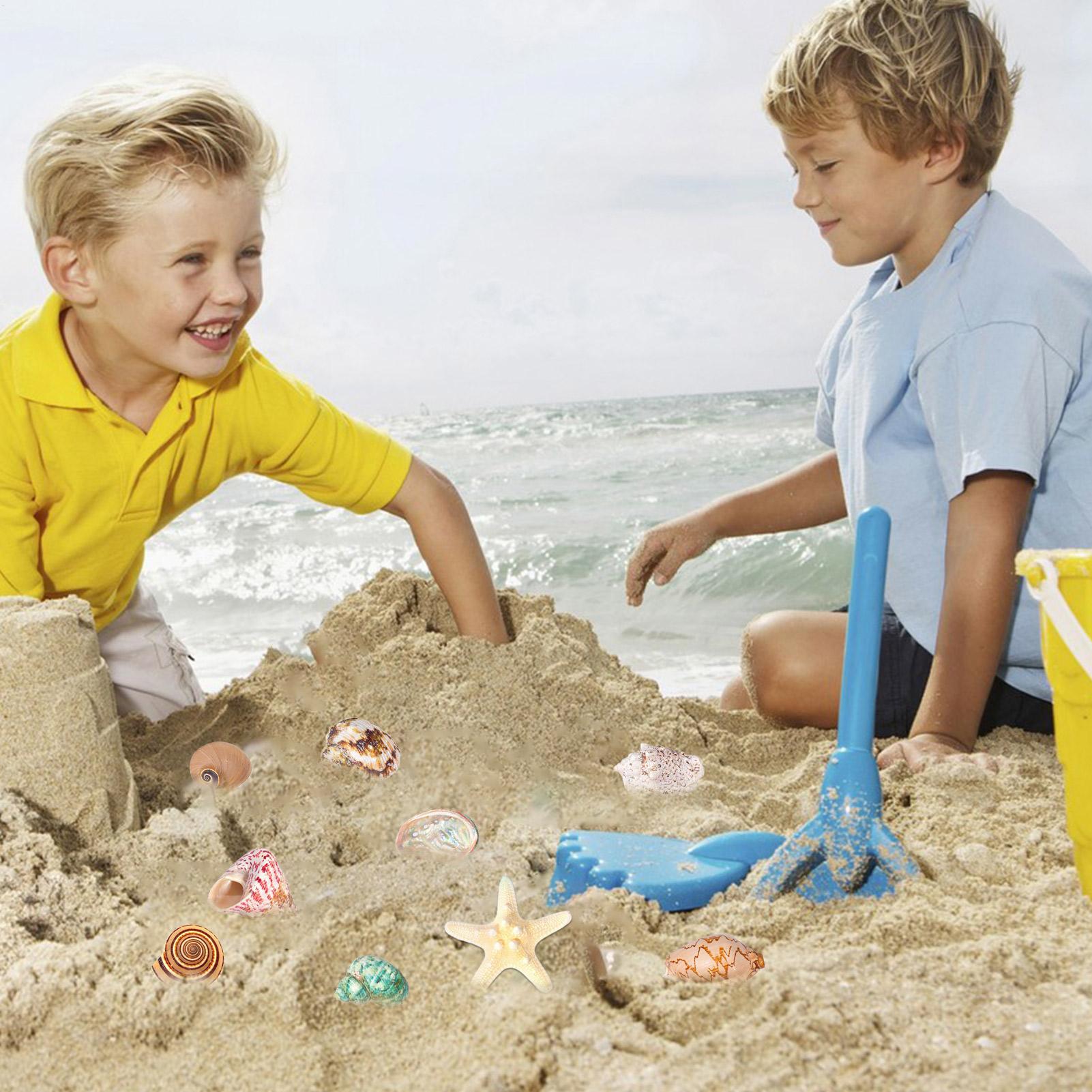 2025 Seashells Advent Calendar - Kids Toys Christmas 2025 review and price