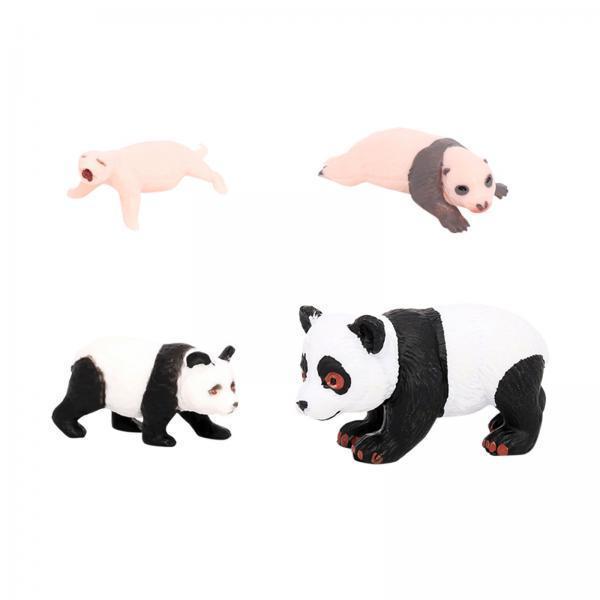 4x 4x Panda Animal Life Cycle  - Kids Toys Cycle review and price