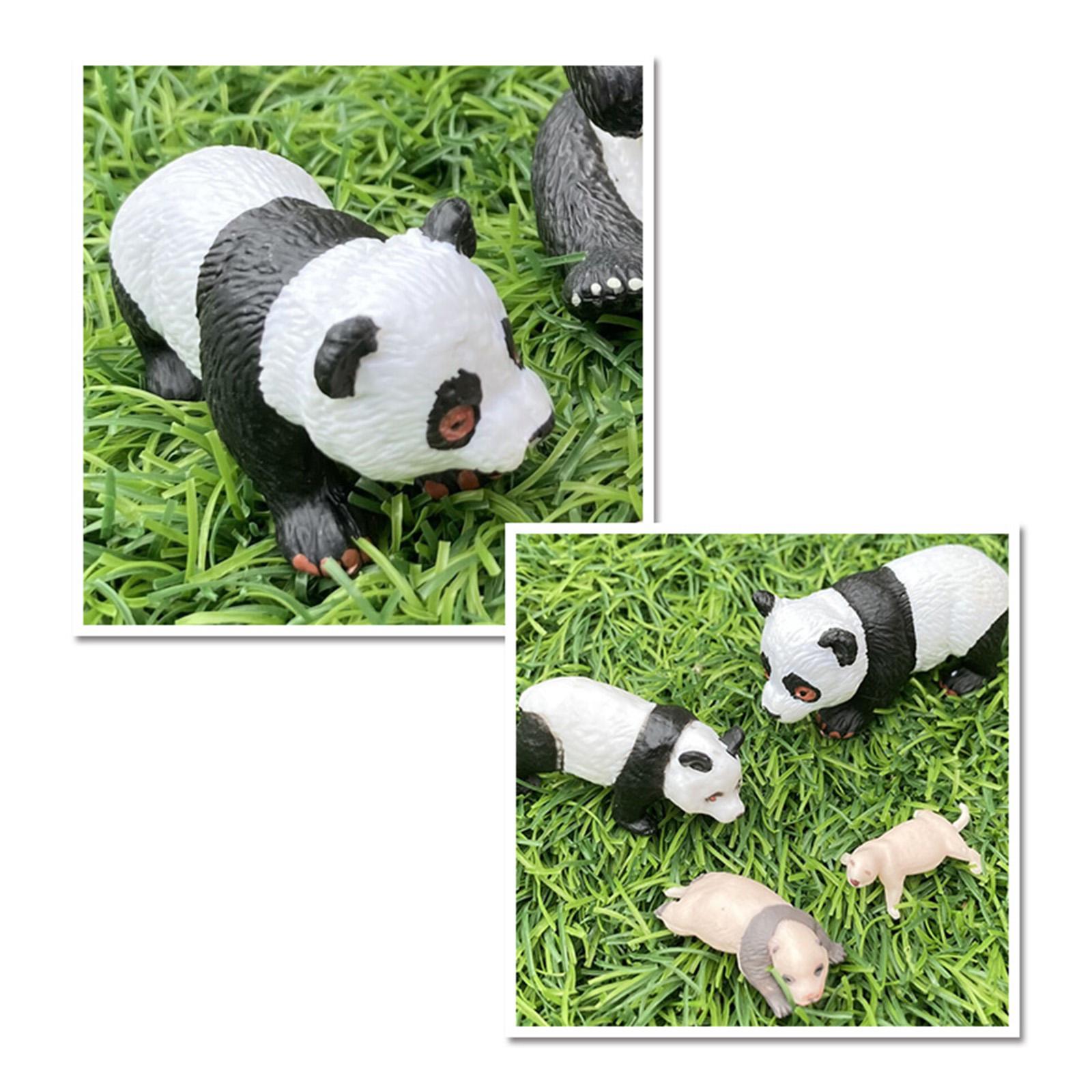 4x 4x Panda Animal Life Cycle  - Kids Toys Cycle review and price