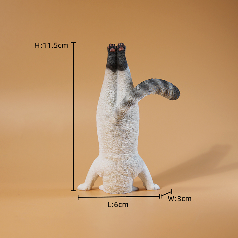 1/6 Scale Mini Simulated Fitne - Kids Yoga Toys review and price