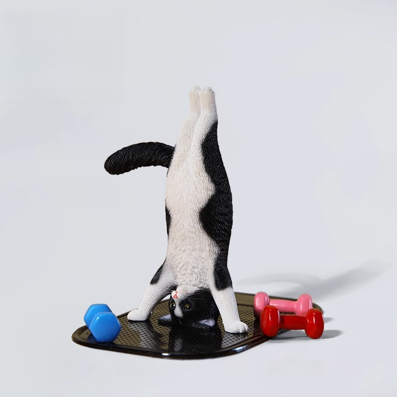 1/6 Scale Mini Simulated Fitne - Kids Yoga Toys review and price