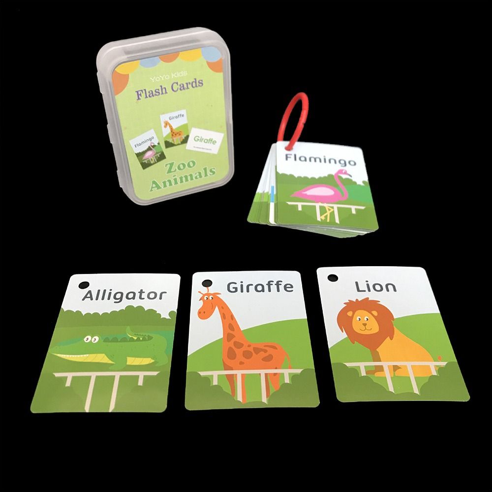 With Ring Alphabet Chart Alpha - Educational Flash Card review and price