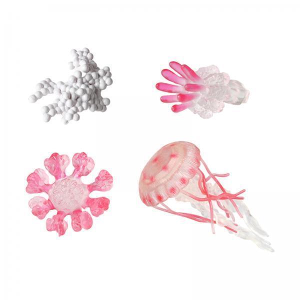 Jellyfish Growth Cycle Model A - Kids Toys Cycle review and price