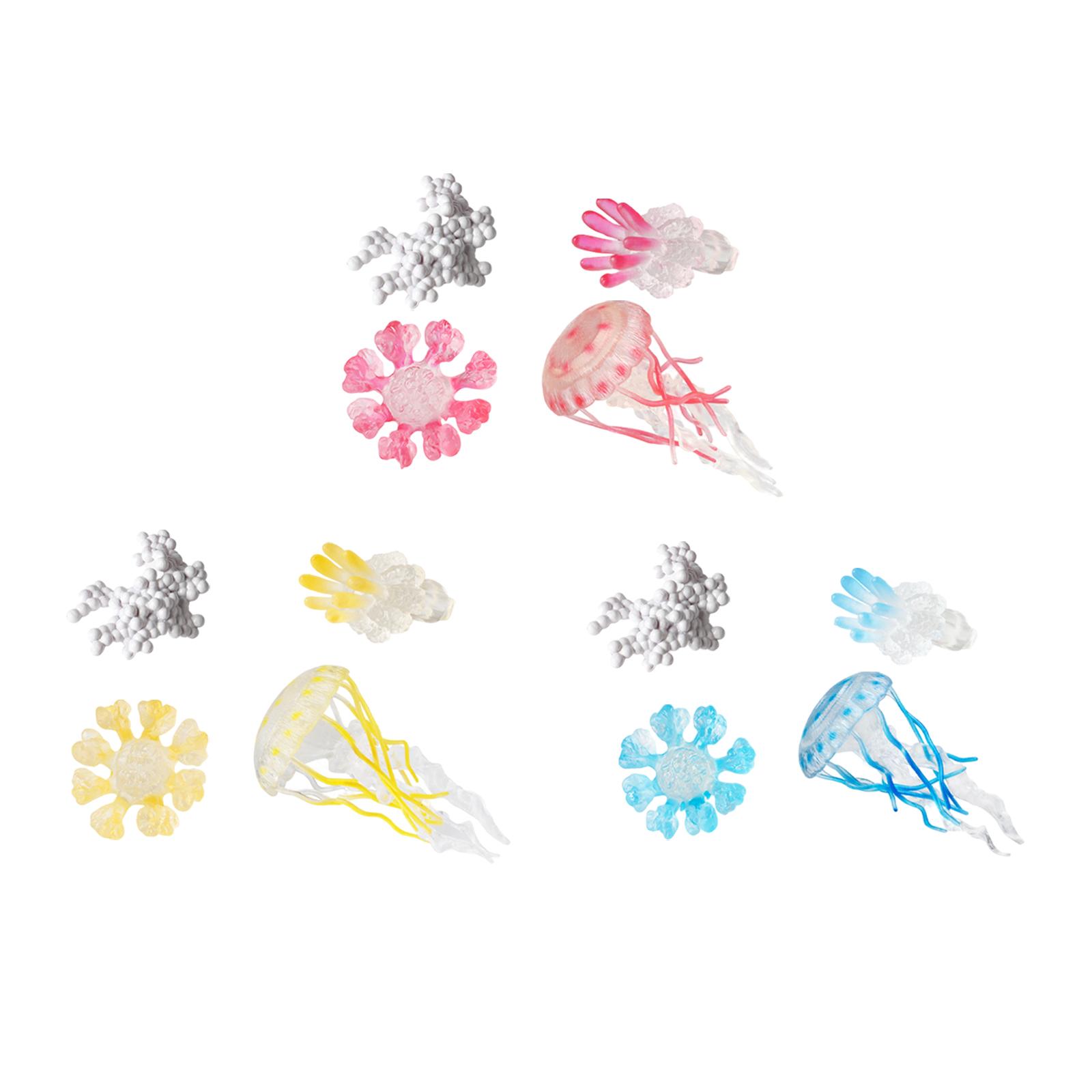 Jellyfish Growth Cycle Model A - Kids Toys Cycle review and price