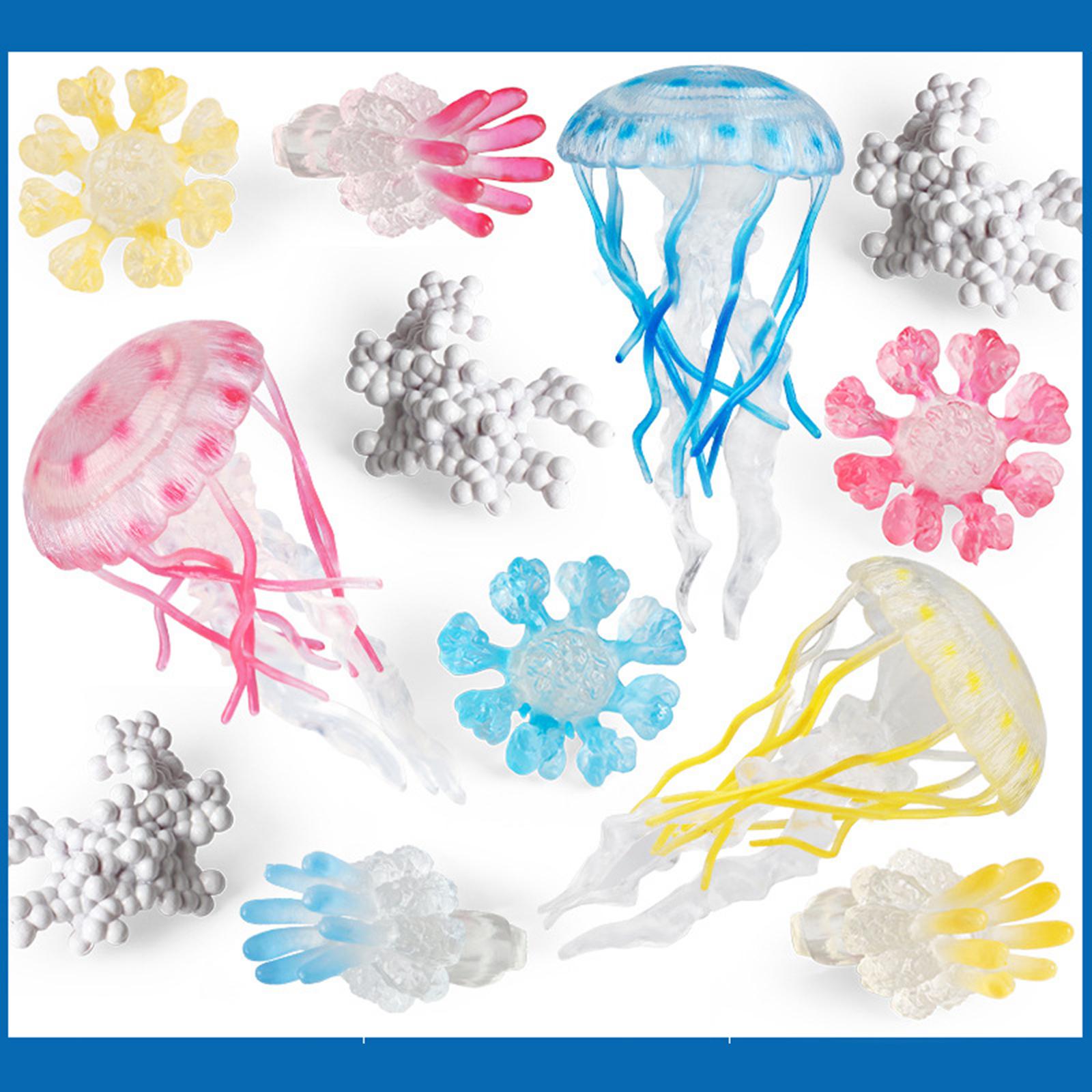 Jellyfish Growth Cycle Model A - Kids Toys Cycle review and price