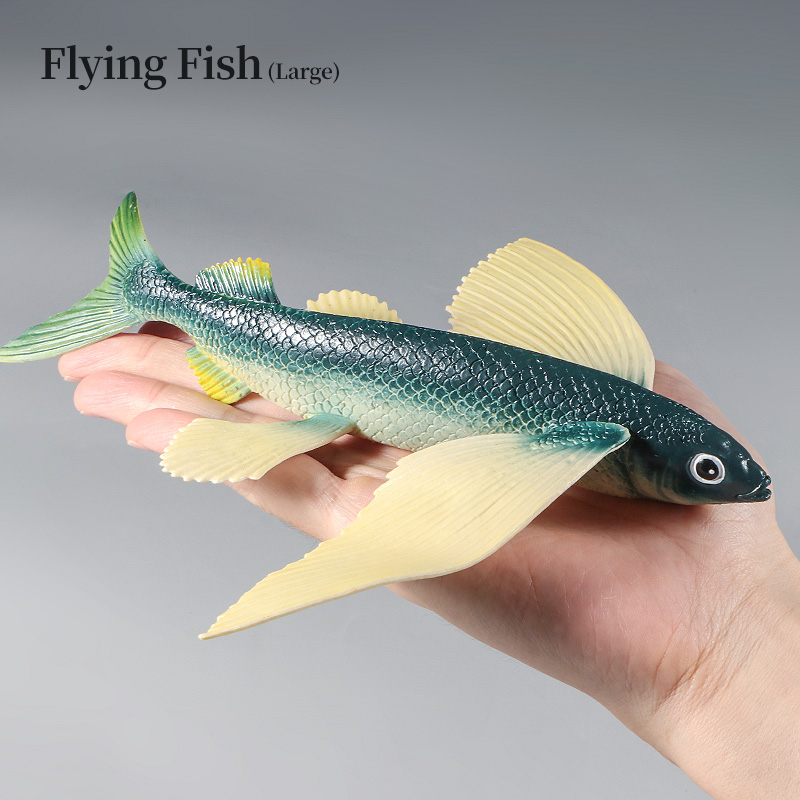 Ocean Marine Animal Underwater - Kids Toys Packaging review and price