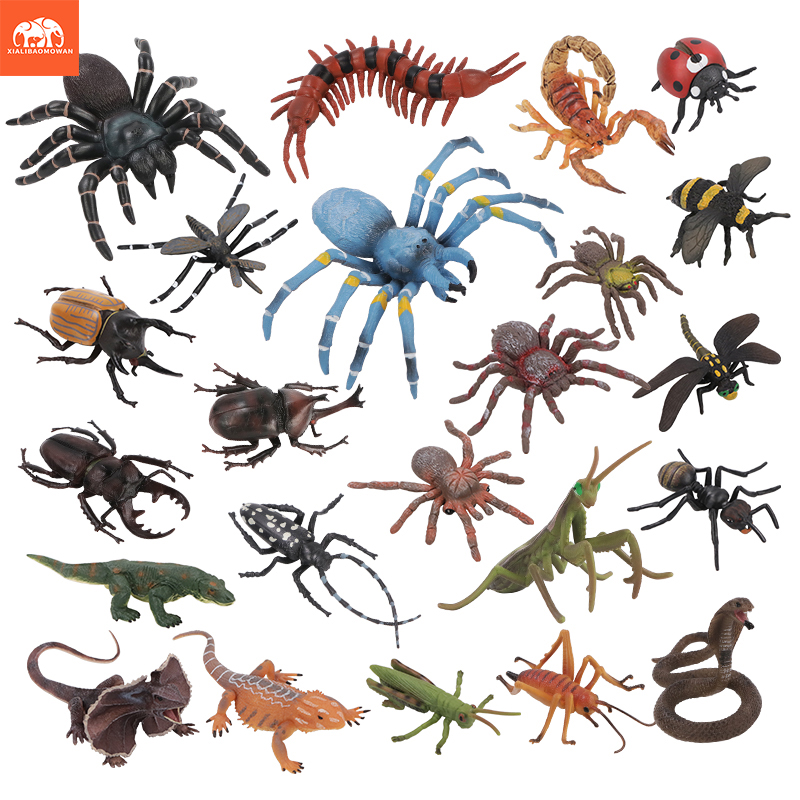 Educational Simulation Insect  - Kids Toys Packaging review and price