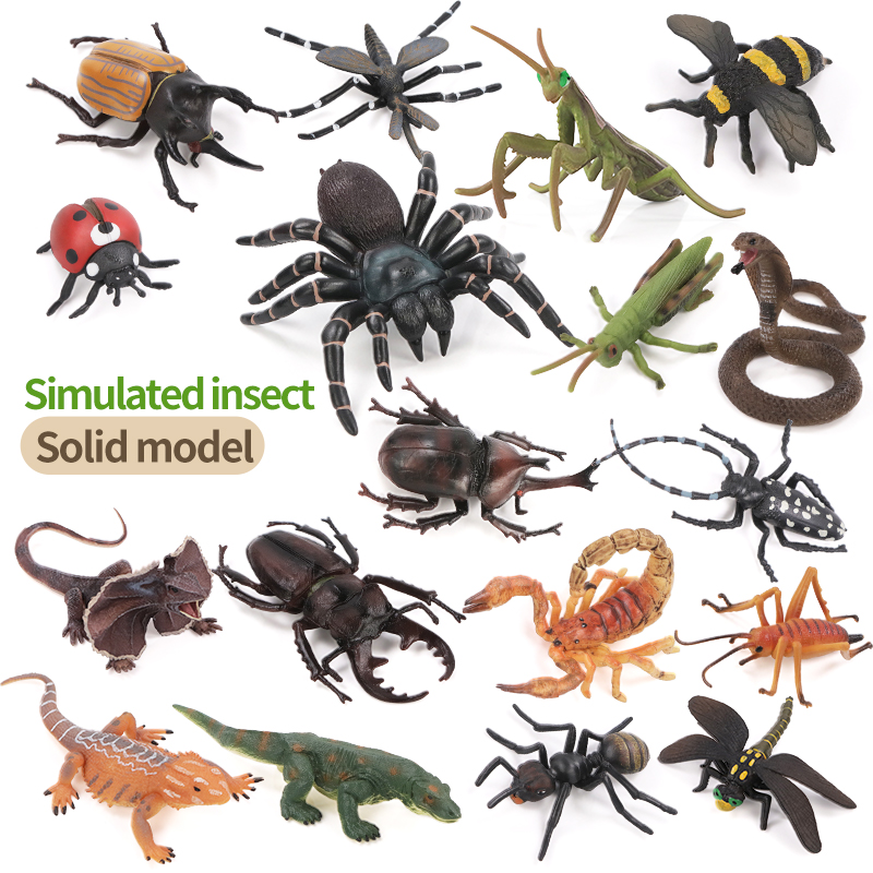 Educational Simulation Insect  - Kids Toys Packaging review and price